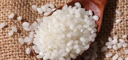 
                        2025年農(nóng)村創(chuàng)業(yè)項(xiàng)目大賽全國總決賽在湖南長(zhǎng)沙舉辦